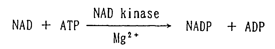 Figure imgb0019