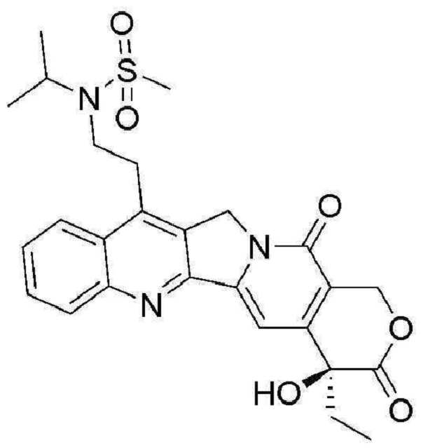 Figure pct00244