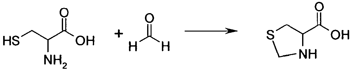 Figure imgb0010