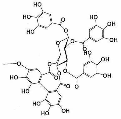 Figure JPOXMLDOC01-appb-C000027