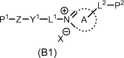 Figure JPOXMLDOC01-appb-C000027