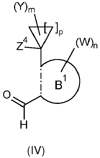 Figure imgb0031