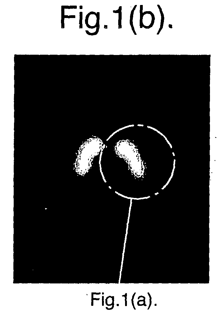 Figure 00000002