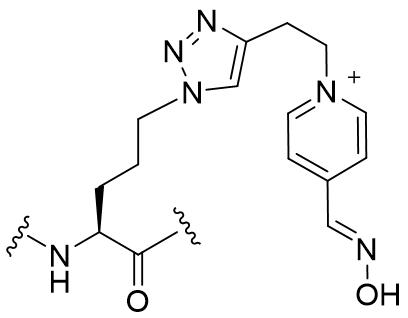 Figure JPOXMLDOC01-appb-C000038