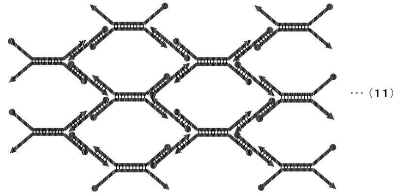 Figure JPOXMLDOC01-appb-C000011
