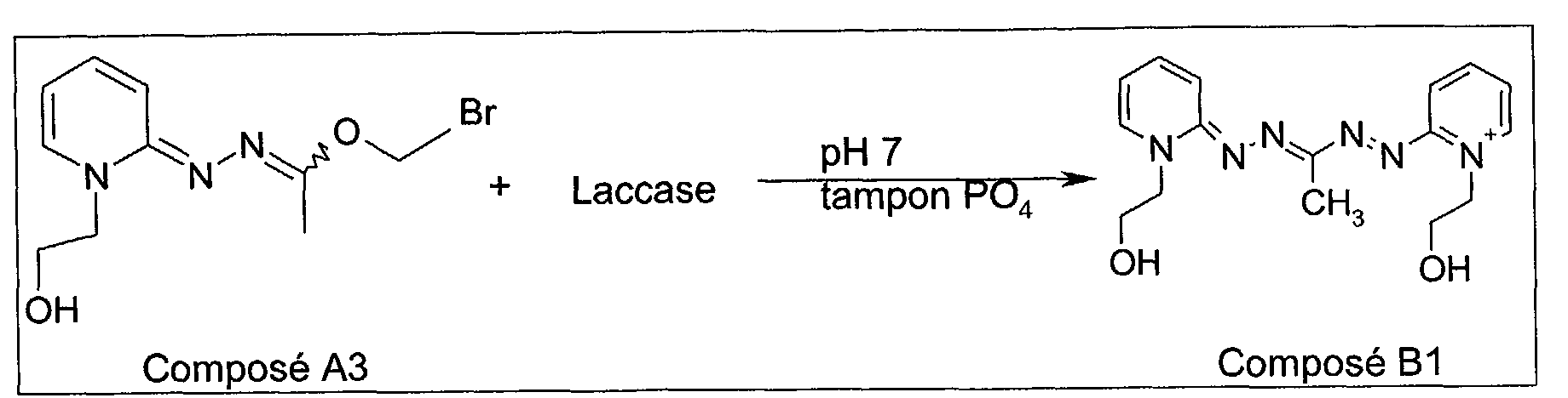 Figure 00300001
