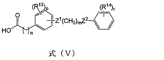 Figure JPOXMLDOC01-appb-C000010