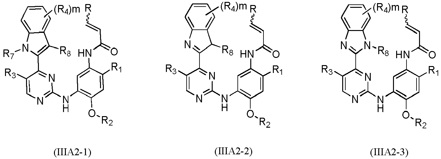 Figure imgb0489