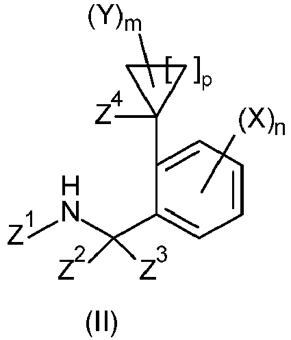 Figure imgb0041