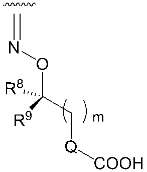 Figure JPOXMLDOC01-appb-C000063