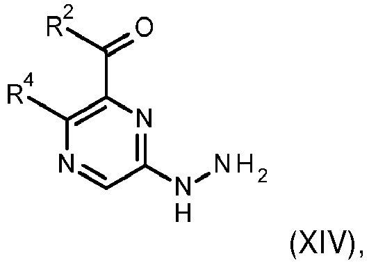 Figure imgb0031