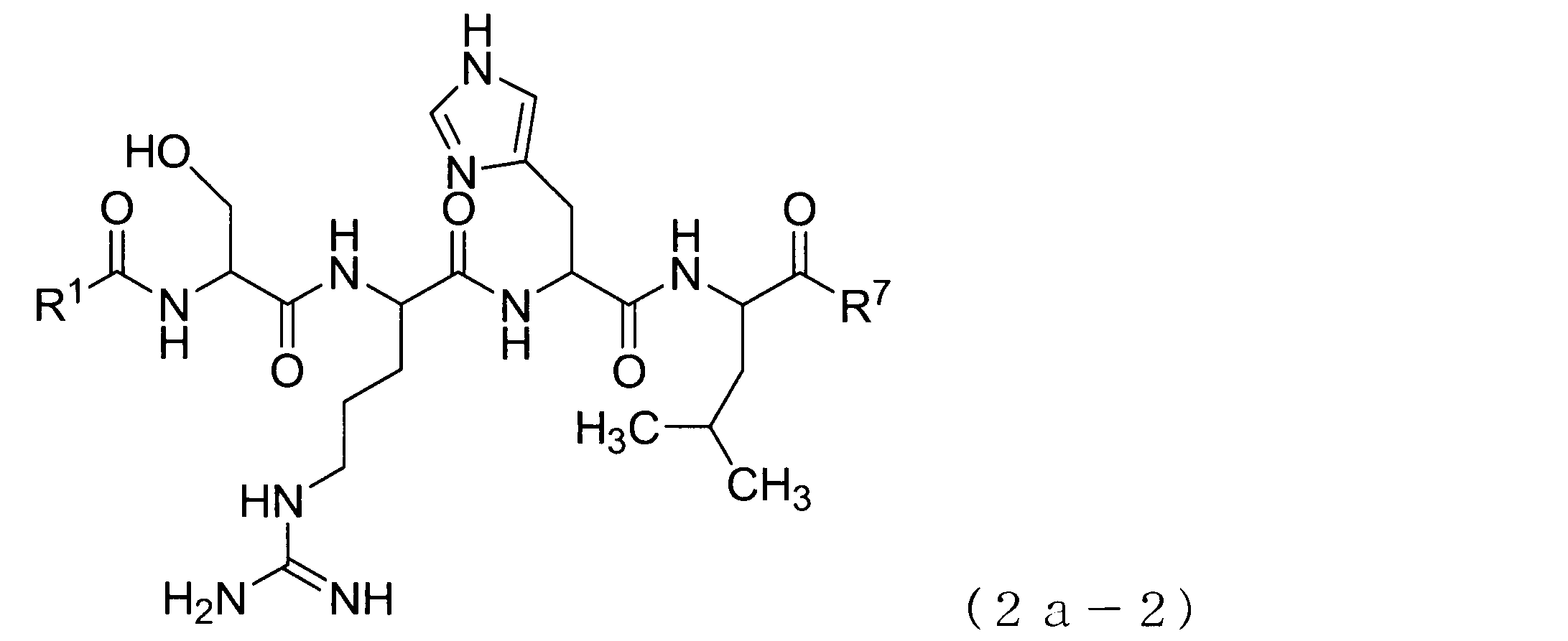 Figure JPOXMLDOC01-appb-C000071