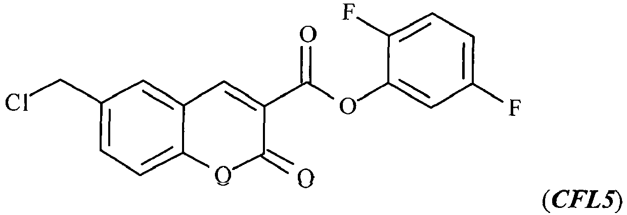 Figure imgb0061