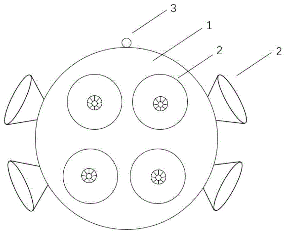 Figure 202010110432