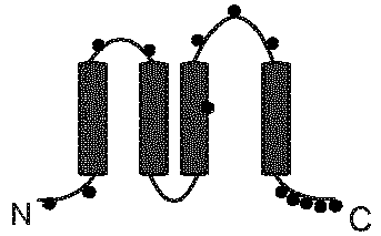 Figure imgb0025