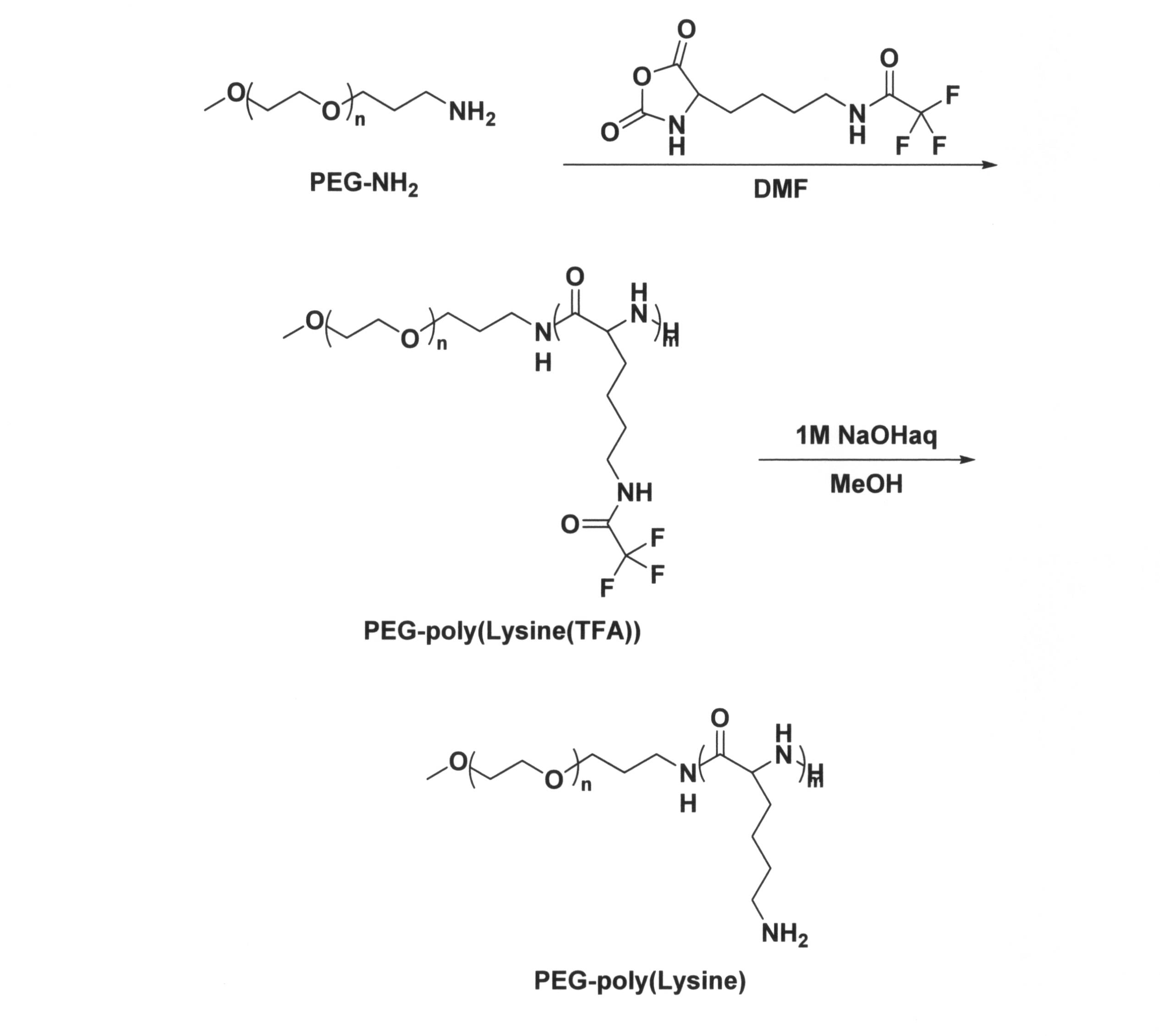 Figure JPOXMLDOC01-appb-C000032