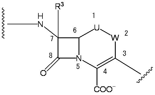 Figure JPOXMLDOC01-appb-C000031