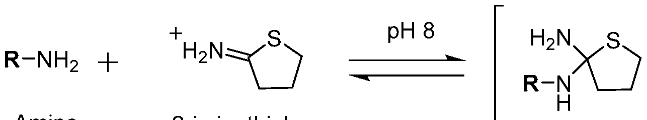 Figure imgf000077_0002