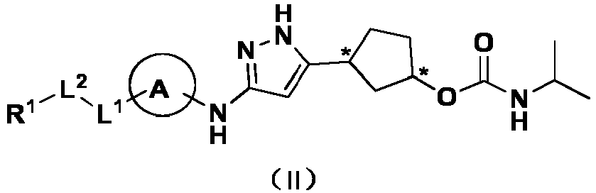 Figure imgb0362