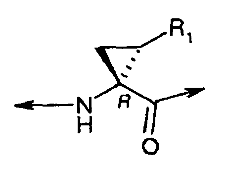 Figure imgb0024