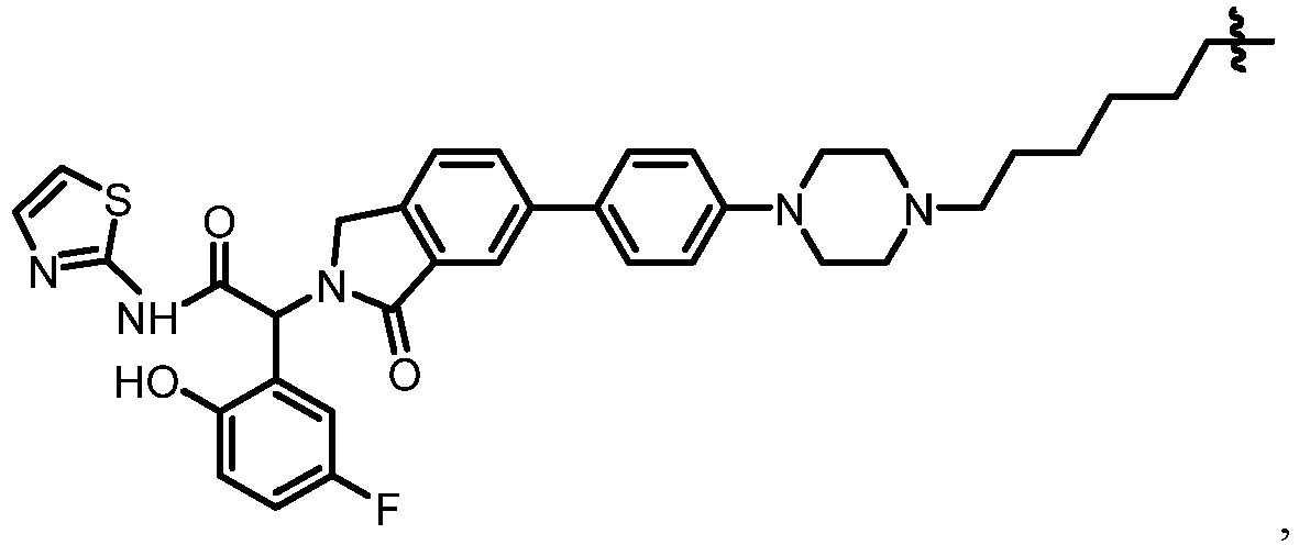 Figure imgb0048