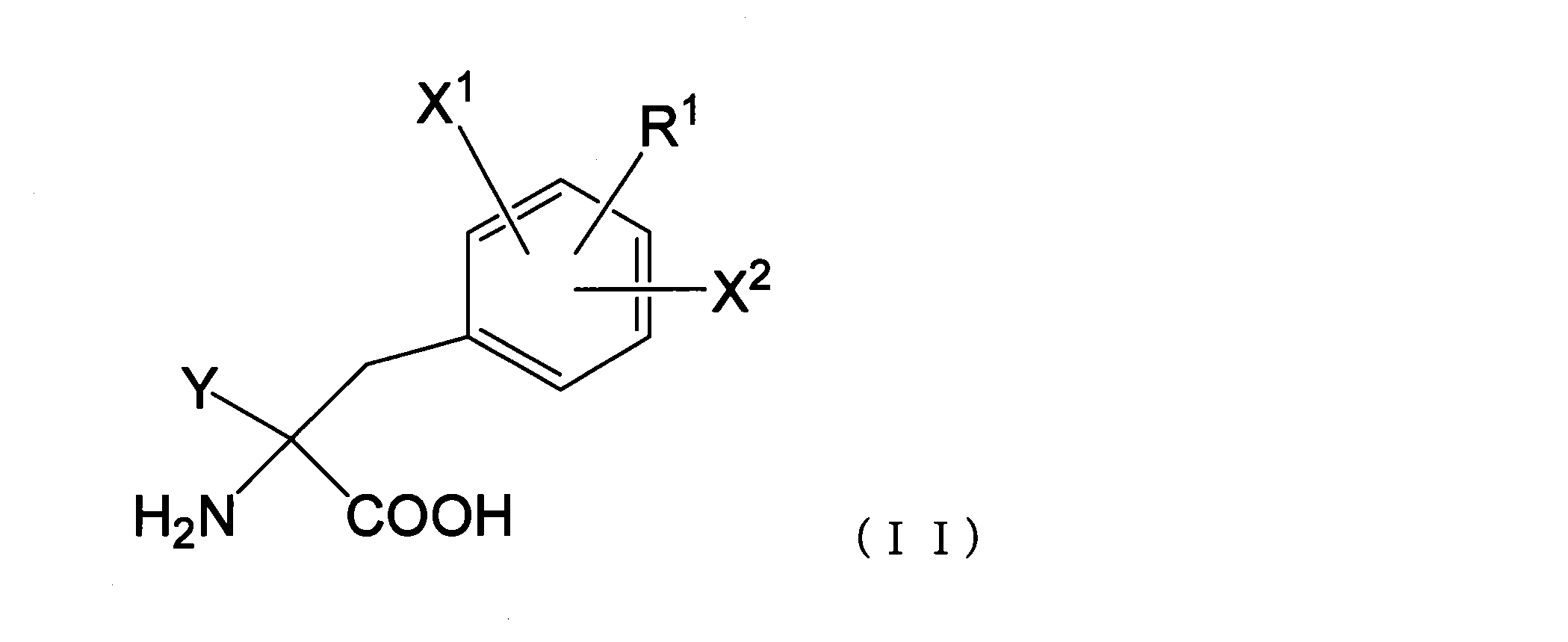 Figure JPOXMLDOC01-appb-C000007
