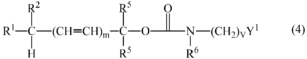 Figure imgb0058