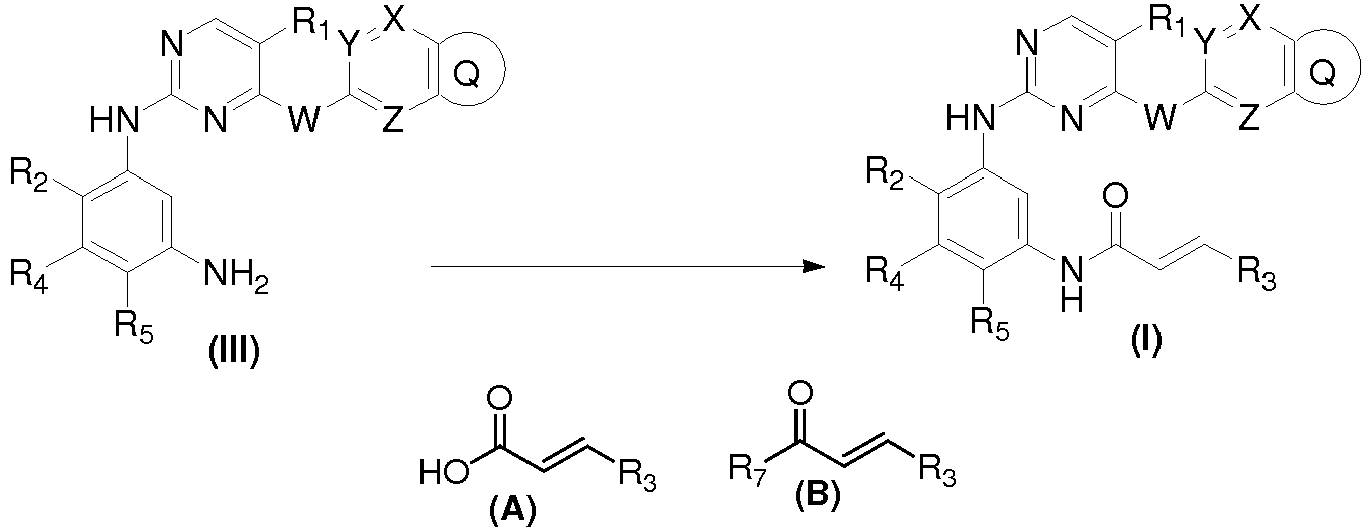Figure imgb0096