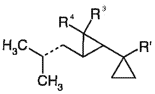 Figure imgf000004_0002