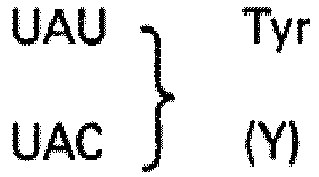Figure imgb0024