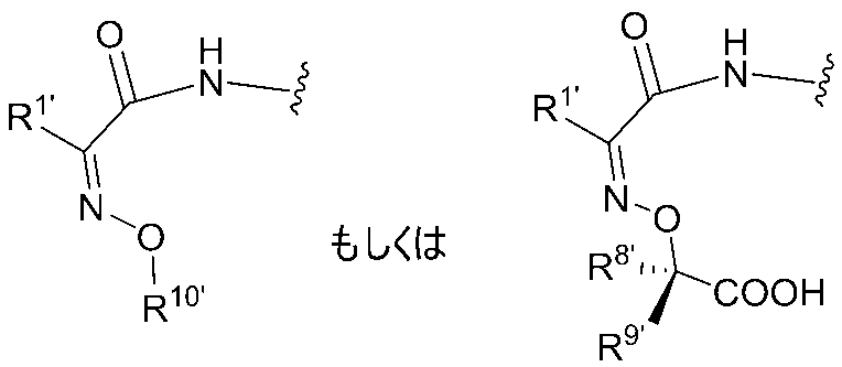 Figure JPOXMLDOC01-appb-C000118