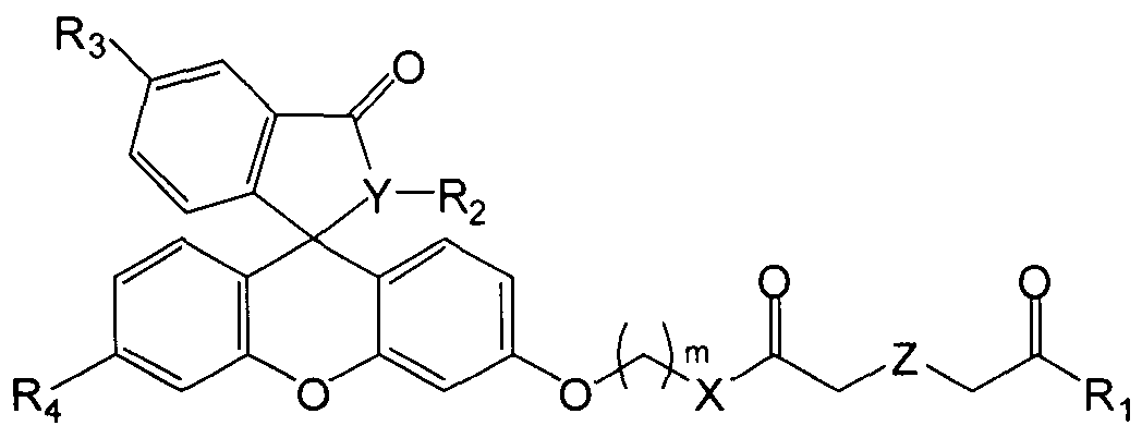 Figure imgf000004_0001