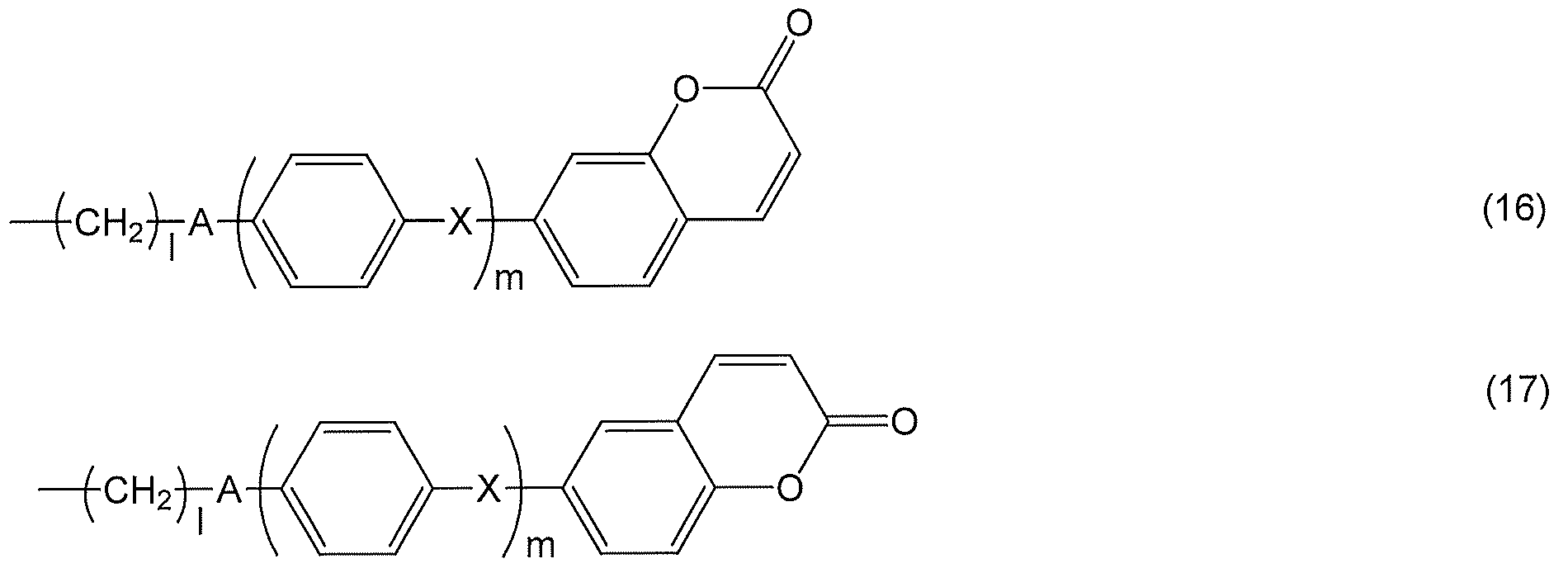Figure JPOXMLDOC01-appb-C000014