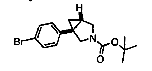 Figure imgb0100