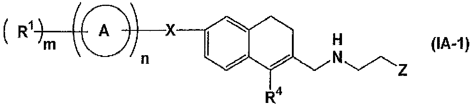 Figure imgb0024