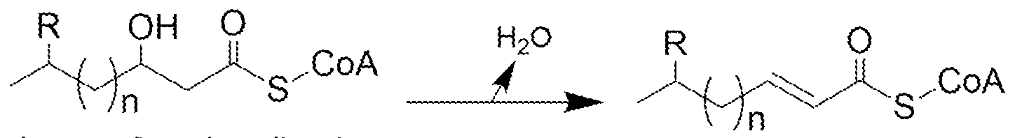 Figure imgf000008_0003