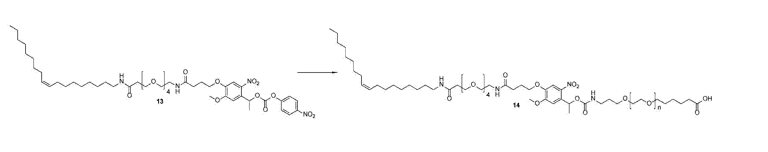 Figure JPOXMLDOC01-appb-C000016