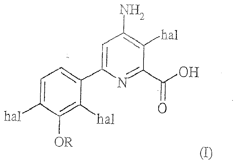 Figure imgb0010