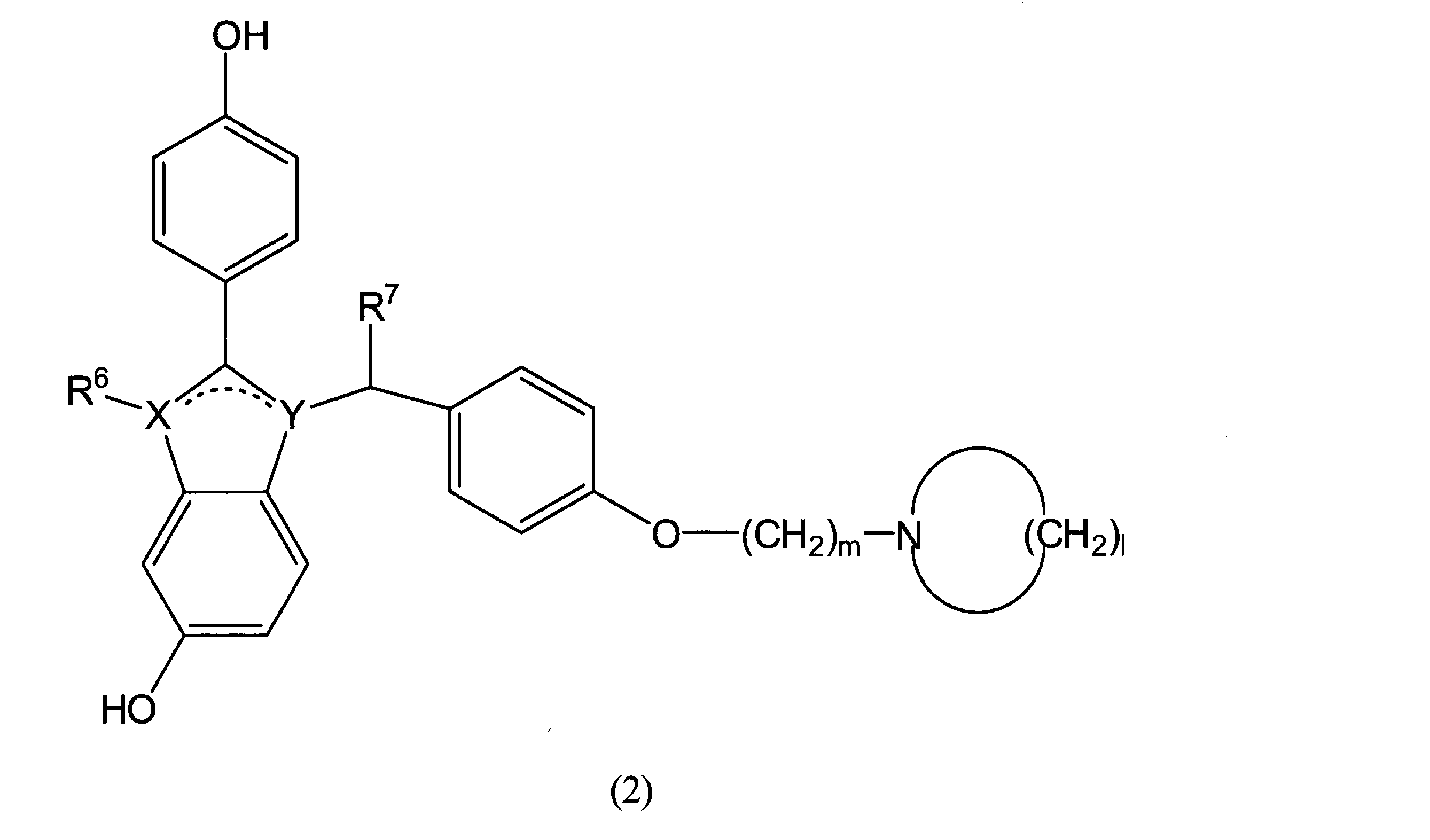 Figure JPOXMLDOC01-appb-C000012