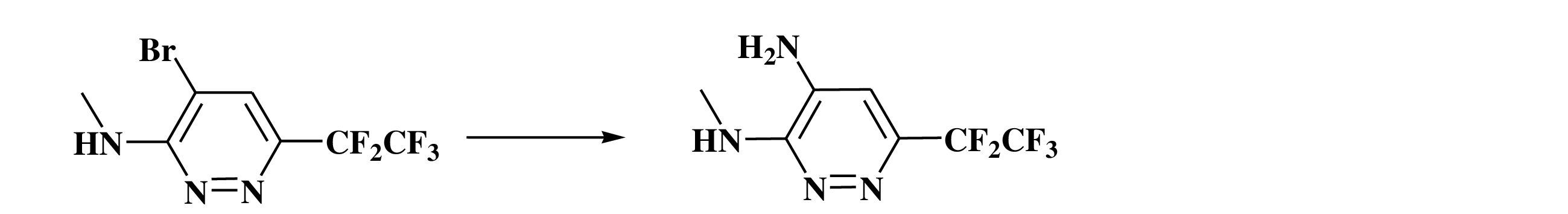Figure JPOXMLDOC01-appb-C000024