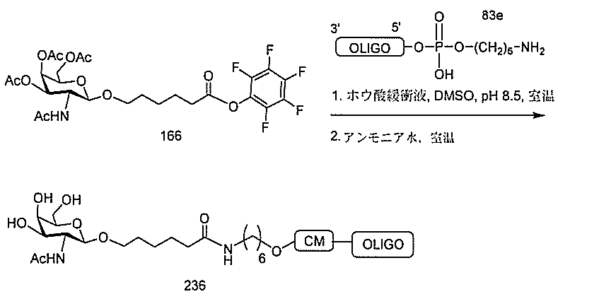 Figure 2022017514000441