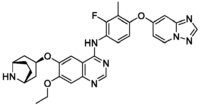 Figure imgb0204