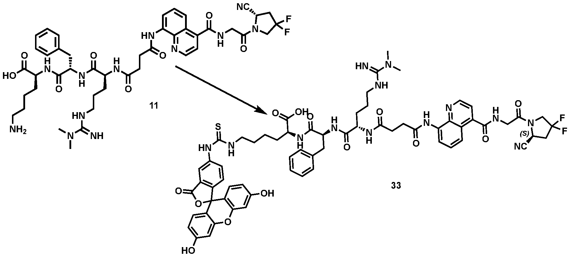 Figure imgf000064_0001