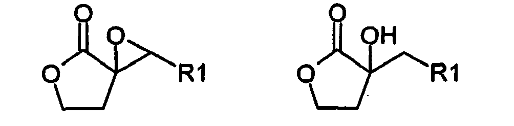 Figure imgb0032