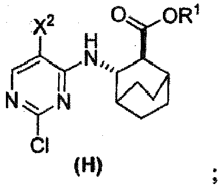 Figure imgb0147