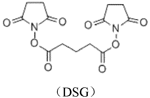 Figure imgb0006