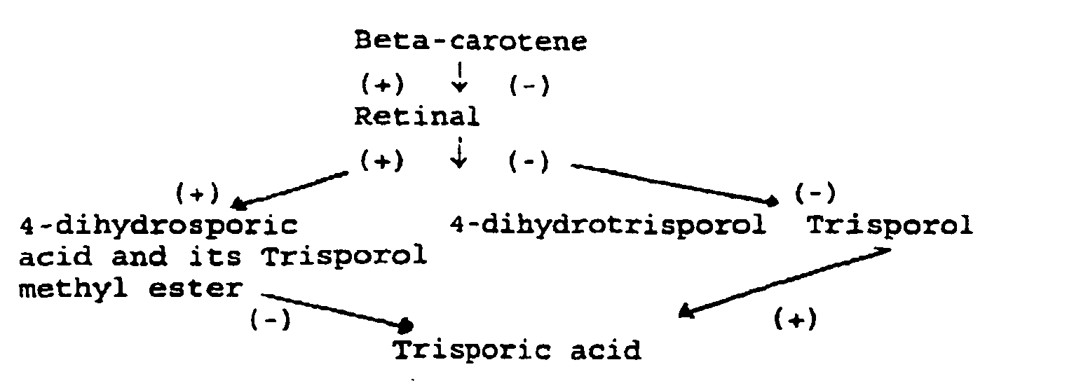 Figure 00040001