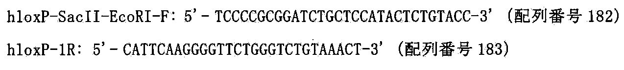 Figure JPOXMLDOC01-appb-I000131