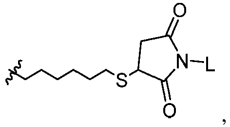 Figure imgb0300