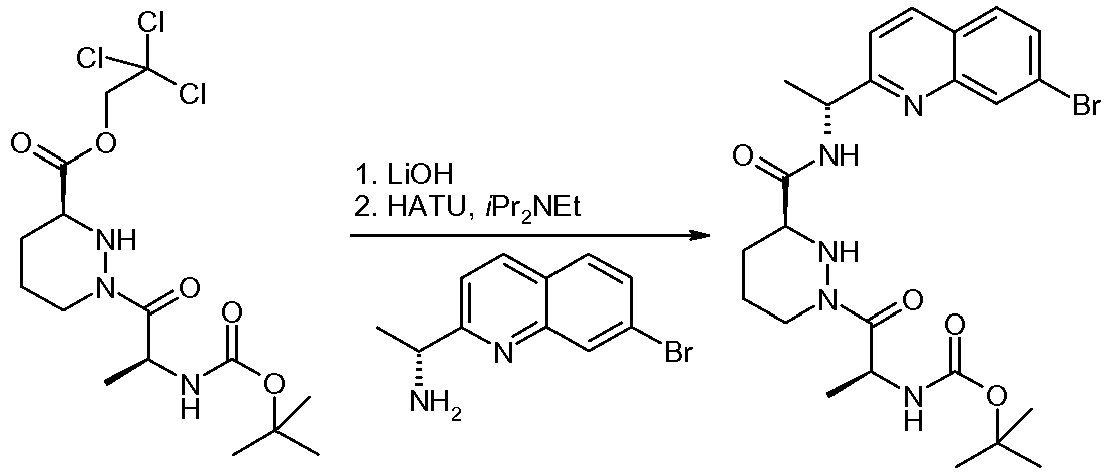 Figure imgb0519